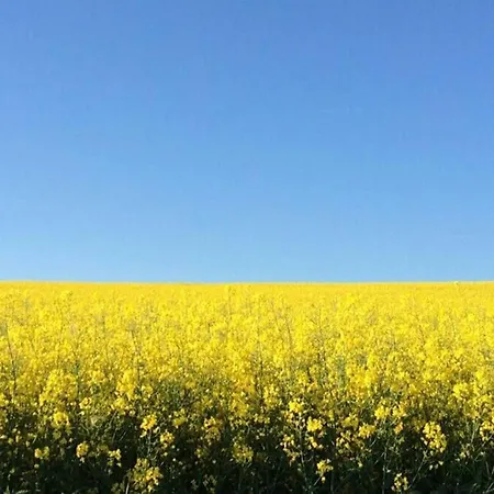 Hinter Burg, Haus Mit Garten