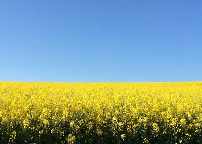 Hinter Burg, Haus Mit Garten